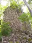 Ruine Frundeck