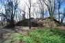 Burgruine Rosenegg