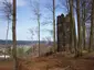 Turmruine Laer