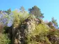 Burgruine Hauseck