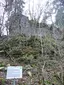 Ruine Eutingen