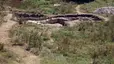 Cetatea Libida