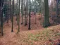 Hrad Pěčín