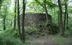 Burg Prácheň
