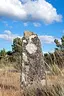 Menir de Penedono