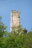 Ruine Wolfstein