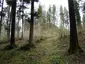 Burgruine Neu-Schönstein