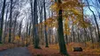 Park na Górze Świętego Marcina