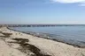 Compo Beach