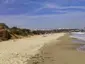 Dog Beach