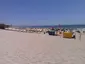 Fonte da Telha