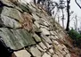 Ulsan Japanese Castle Ruins