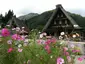 Suganuma Village