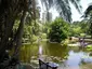 ブリスベンシティー植物園