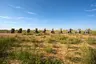 Cadillac Ranch