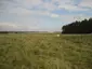 Stonehenge Landscape