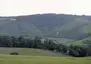 Litlington White Horse.