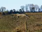 Broad Town White Horse