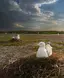 Солоний Лиман