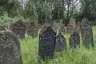 Cmentarz żydowski w Krzepicach