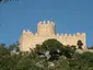 Castell de Farners