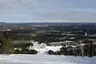Suomu