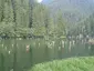 Red Lake