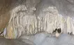 Jaskinia Niedźwiedzia