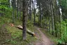 Plokščių piliakalnis