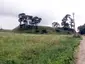 Luponių piliakalnis