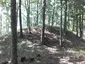 Šlavantų piliakalnis