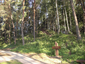 Papiliakalnės piliakalnis