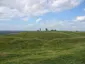 Тара