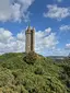 Scrabo Tower