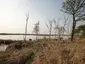 Schwimmendes Moor