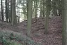 Abschnittswall Brohl-Lützing