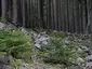 Heidetränk-Oppidum