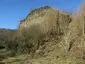 Burg Adolfseck