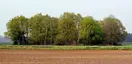Jansburg