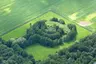 Barenborg