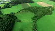 Papenkaule