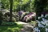 Park różaneczników i ogród botaniczny w Bremie