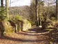 Ruine Waldenburg