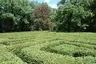 Irrgarten Alt-Jeßnitz