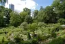 Botanischer Garten