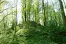 Alte Niedeck