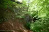 Naturdenkmal Bühl