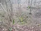 Fuhrmannsloch