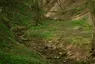 Ringelbachschlucht