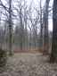 Prinzessingarten